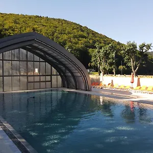 https://camping-domaine-du-lac-chambon.hotels-rhonealpes.com